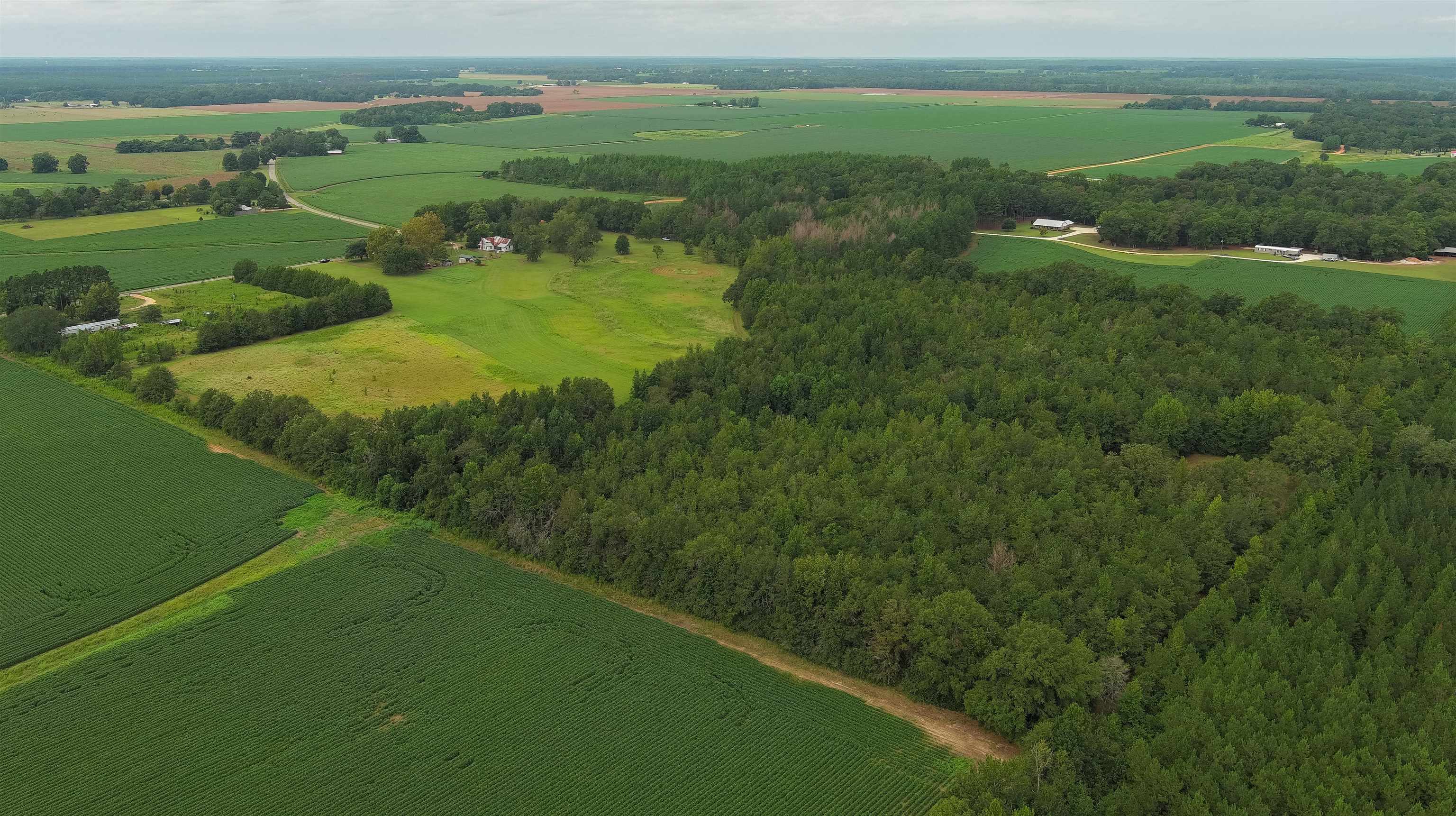 1147 Mack Pond Road Atmore, AL 36502 - Photo 34 of 40 Aerial view with a rural view