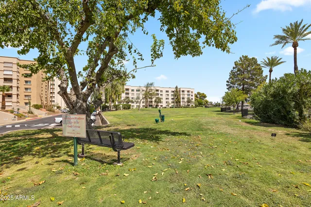 a view of a playground with a tree