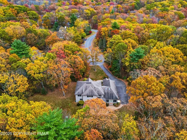 a view of a yard with plants and large trees