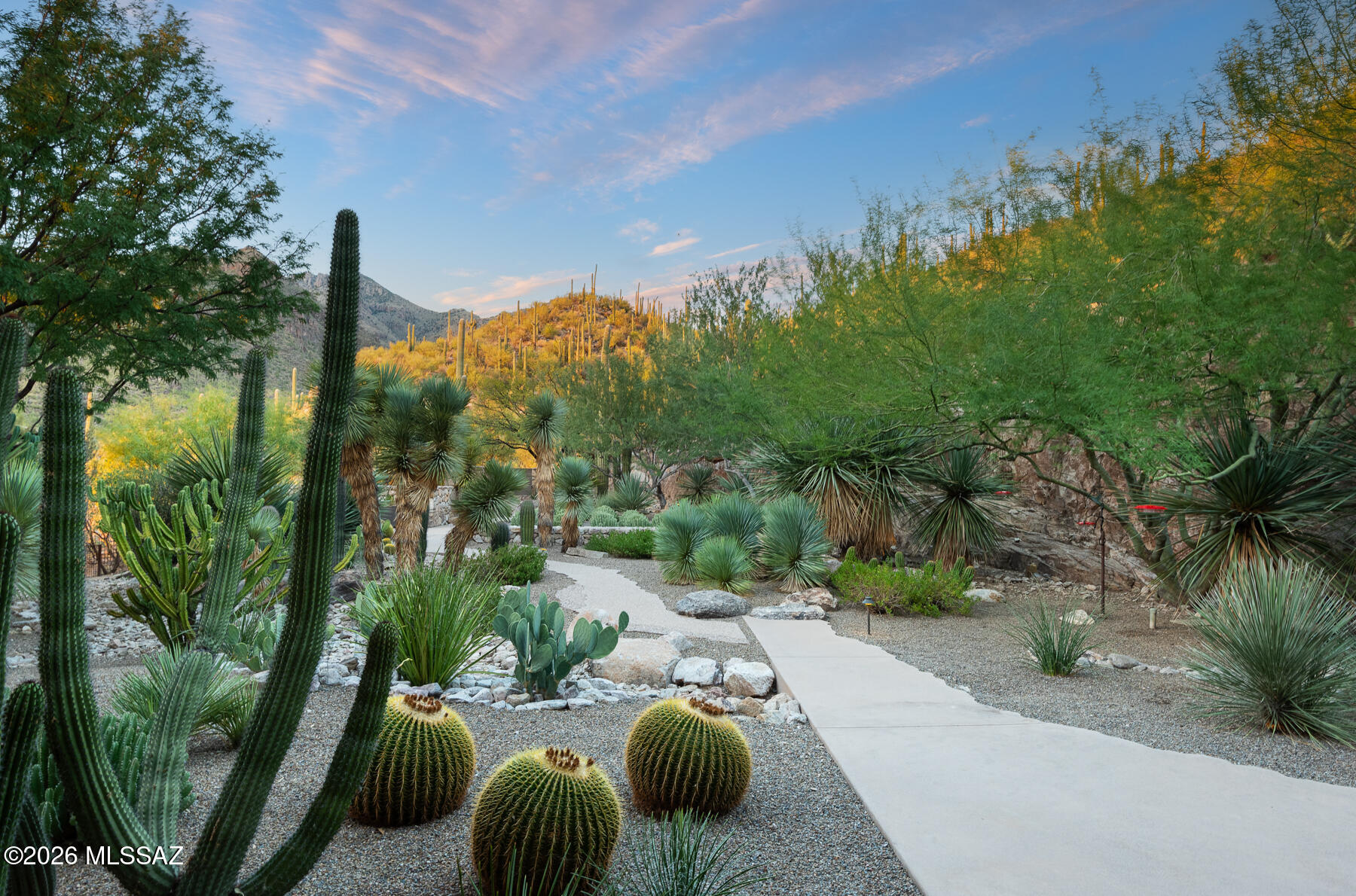 6452 North Rattlesnake Canyon Road Tucson, AZ 85750 - Photo 16 of 51 Backyard w/ Mountain Views