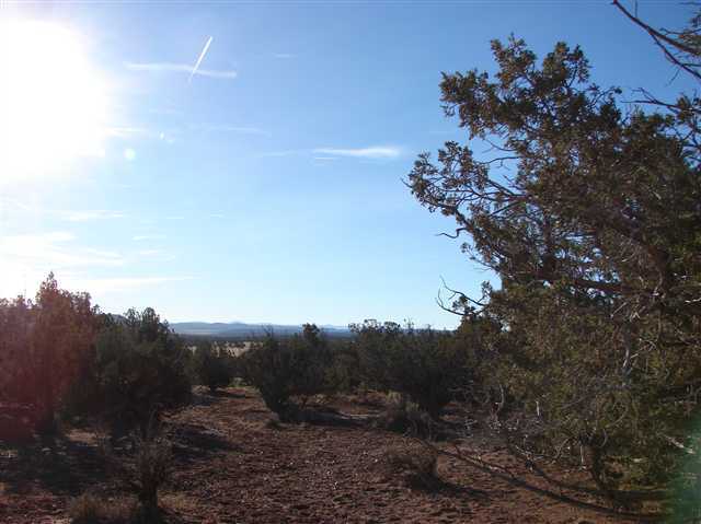 4585 Concho Ocho Road Snowflake, AZ 85937 - Photo 2 of 3
