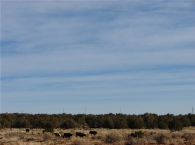 4585 Concho Ocho Road Snowflake, AZ 85937 - Photo 3 of 3