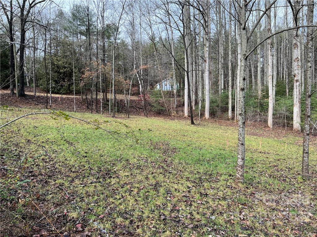 444 Fisher Road Brevard, NC 28712 - Photo 1 of 16 Gallery Image 1
