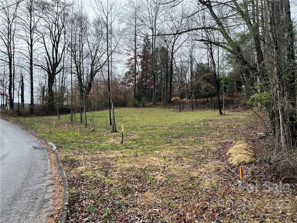 444 Fisher Road Brevard, NC 28712 - Photo 11 of 16 Gallery Image 11