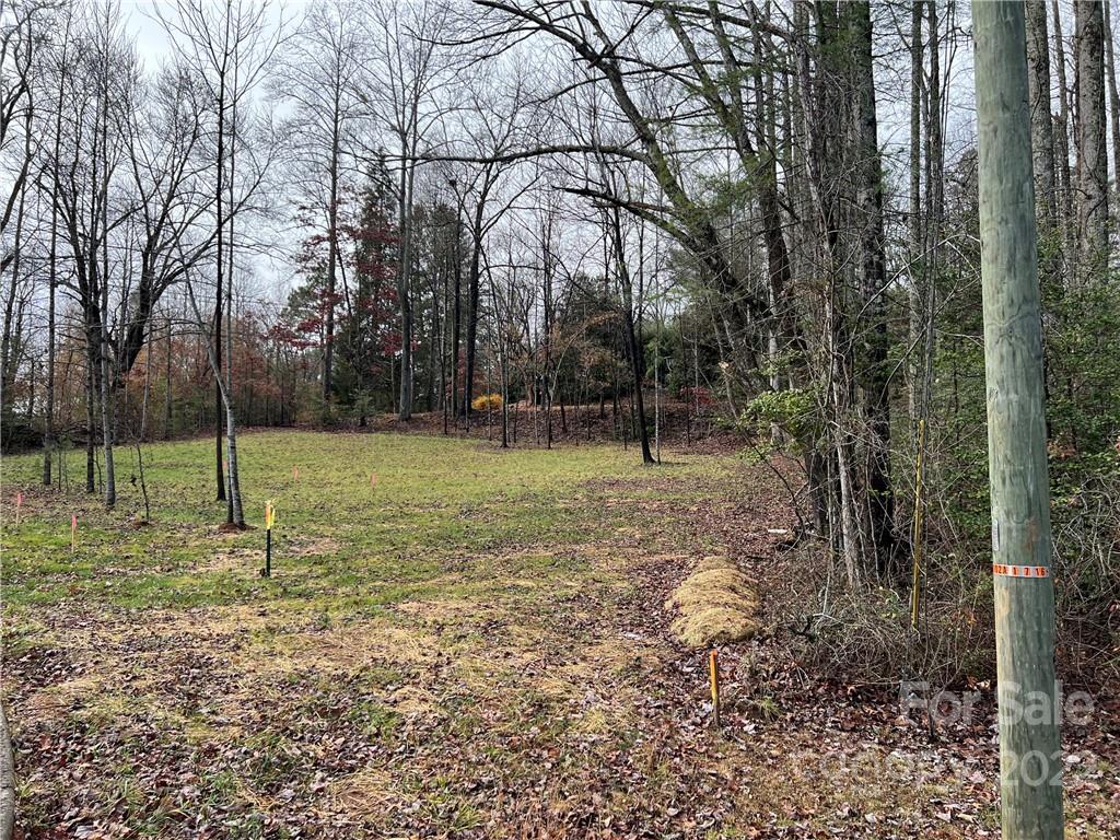 444 Fisher Road Brevard, NC 28712 - Photo 12 of 16 Gallery Image 12