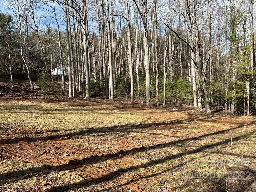 444 Fisher Road Brevard, NC 28712 - Photo 13 of 16 Gallery Image 13