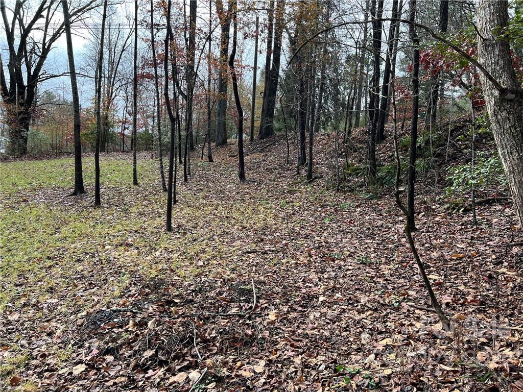 444 Fisher Road Brevard, NC 28712 - Photo 2 of 16 Gallery Image 2