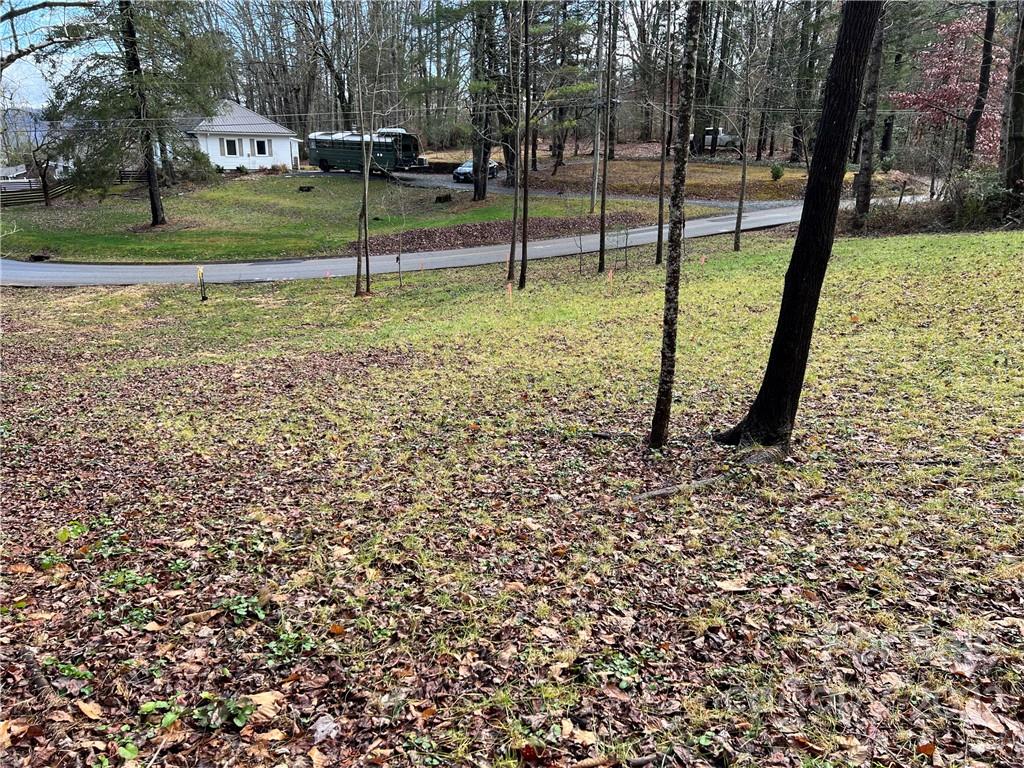 444 Fisher Road Brevard, NC 28712 - Photo 4 of 16 Gallery Image 4