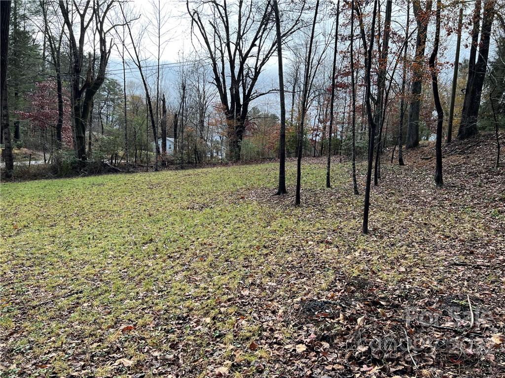 444 Fisher Road Brevard, NC 28712 - Photo 5 of 16 Gallery Image 5
