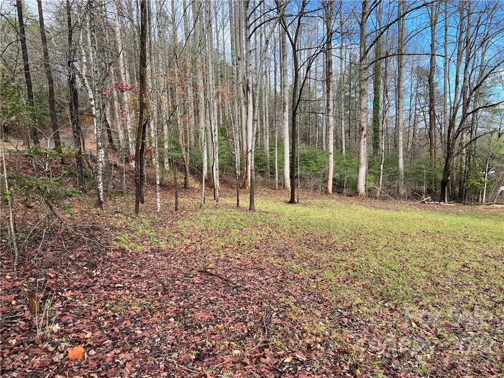 444 Fisher Road Brevard, NC 28712 - Photo 6 of 16 Gallery Image 6