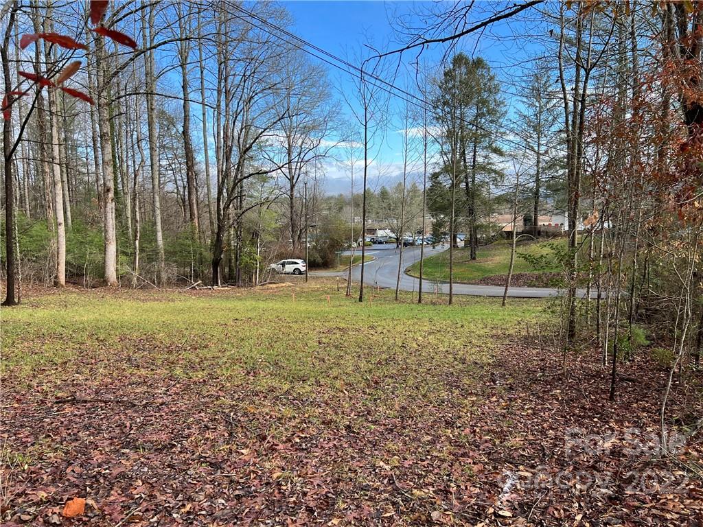 444 Fisher Road Brevard, NC 28712 - Photo 7 of 16 Gallery Image 7