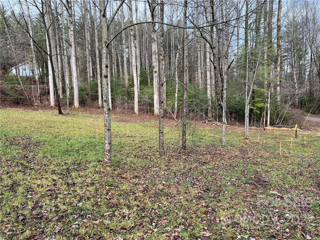 444 Fisher Road Brevard, NC 28712 - Photo 8 of 16 Gallery Image 8