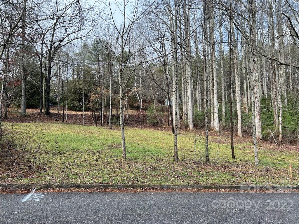 444 Fisher Road Brevard, NC 28712 - Photo 9 of 16 Gallery Image 9