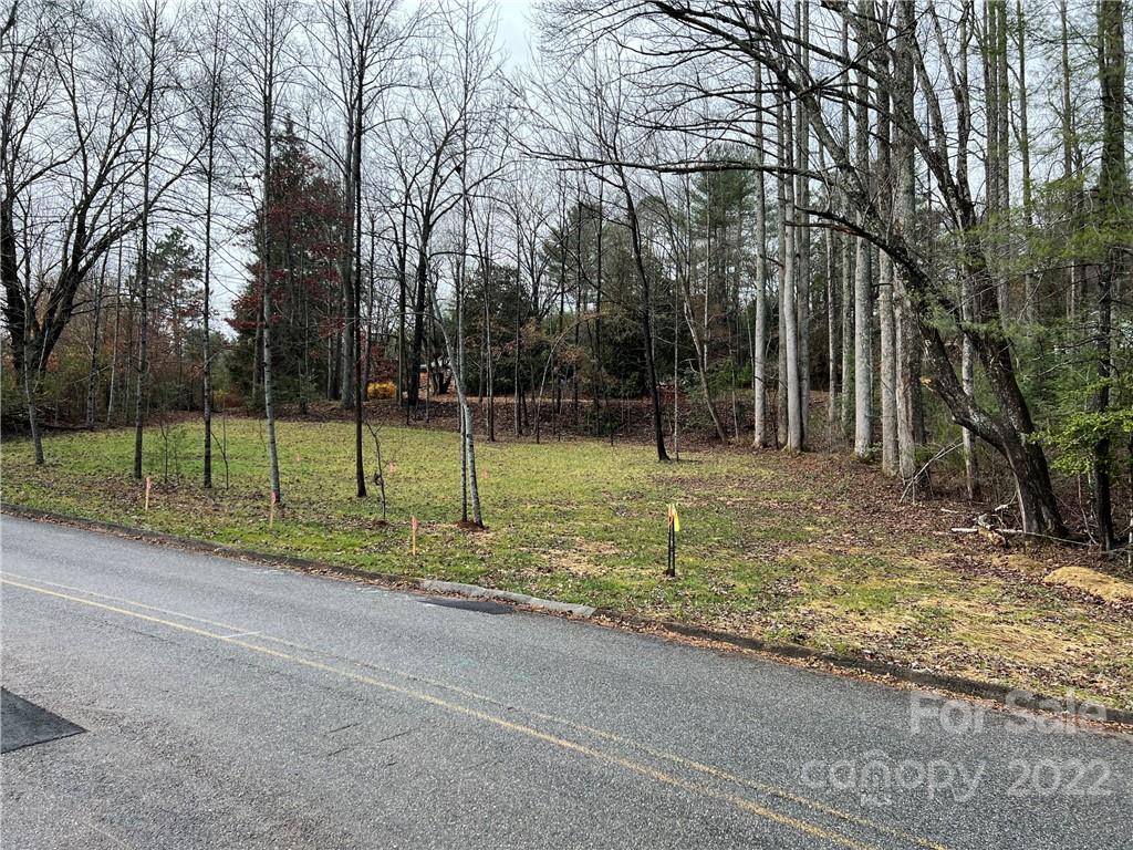 444 Fisher Road Brevard, NC 28712 - Photo 10 of 16 Gallery Image 10