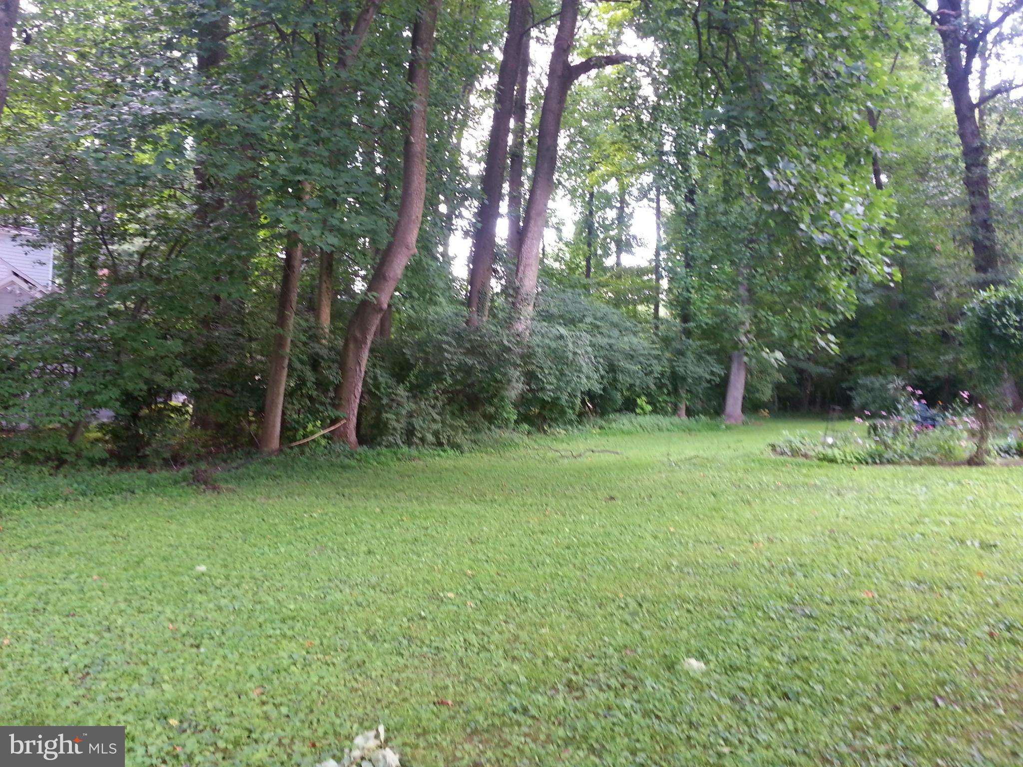 2554 Rambling Road Vienna, VA 22181 - Photo 22 of 28 Beautiful backyard backing to trees.