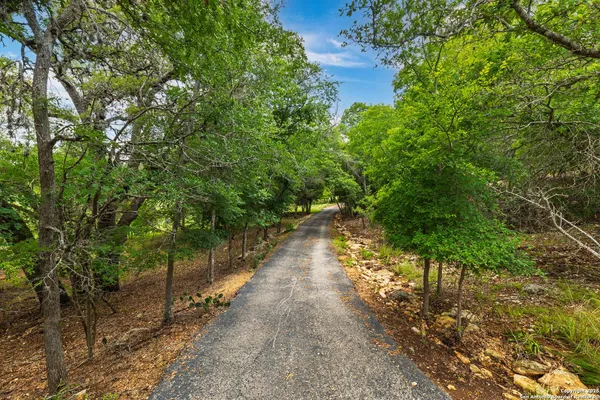 a view of a pathway of a yard