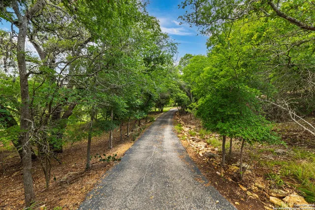 a view of a pathway of a yard