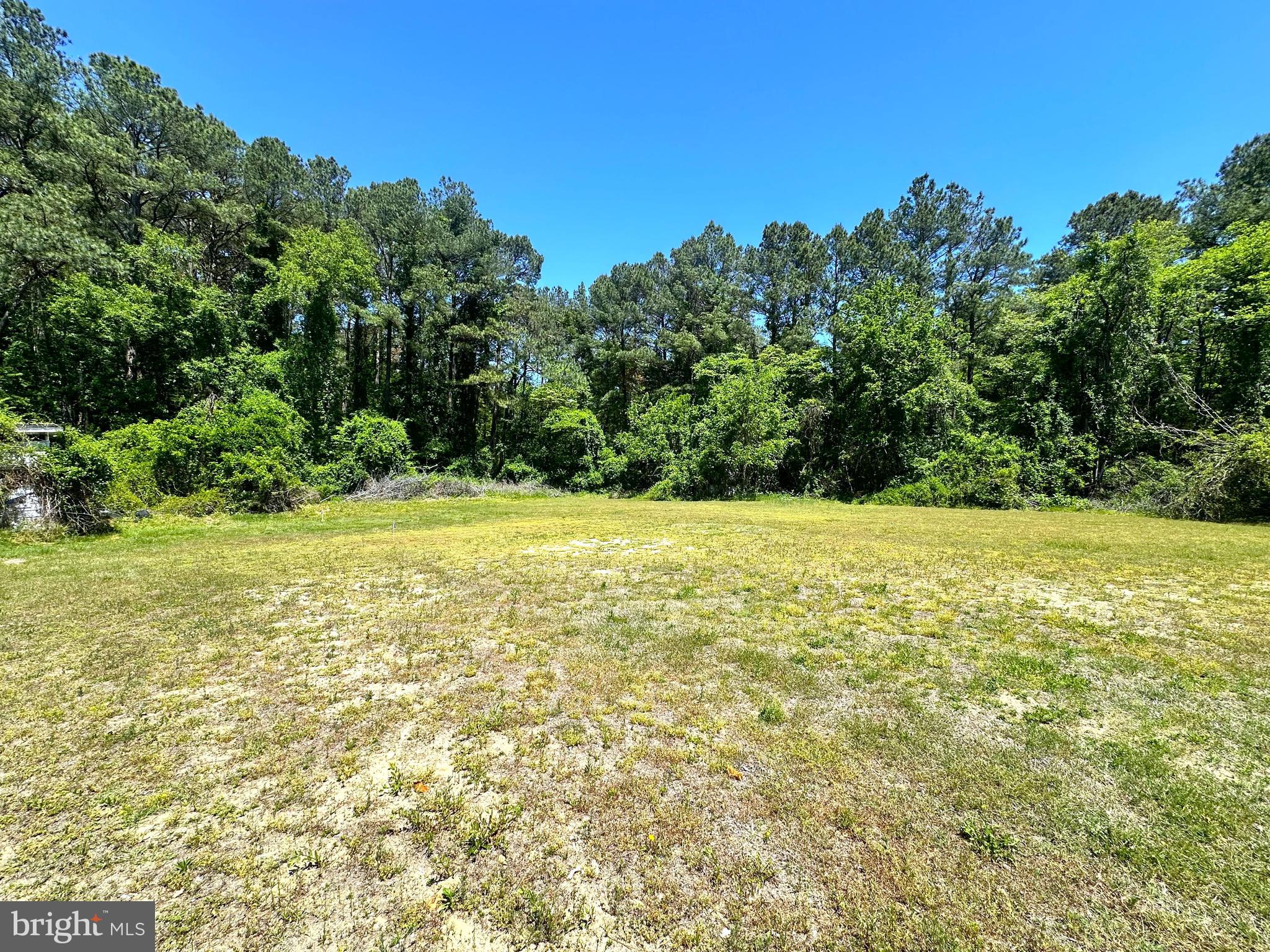 14236 Drapers Mill Road Goldsboro, MD 21636 - Photo 25 of 29
