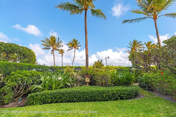 a view of a garden