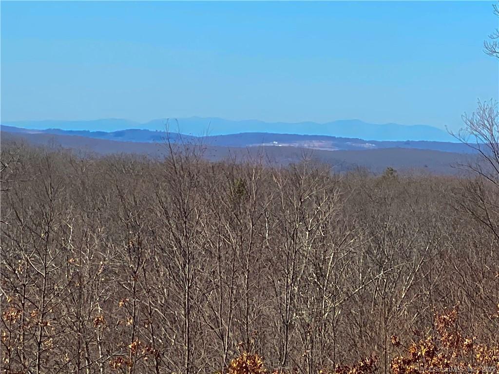 4-5 Mount Mauwee Road South Kent, CT 06785 - Photo 1 of 1 The faint blue line is the Catskill Mountain range 80+ miles to the west. This million dollar view is available from most of the level, cleared portion of lot 5