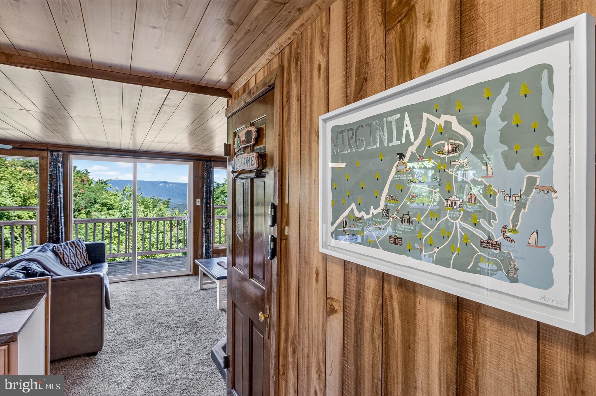 707 Overlook Drive Rileyville, VA 22650 - Photo 29 of 94
