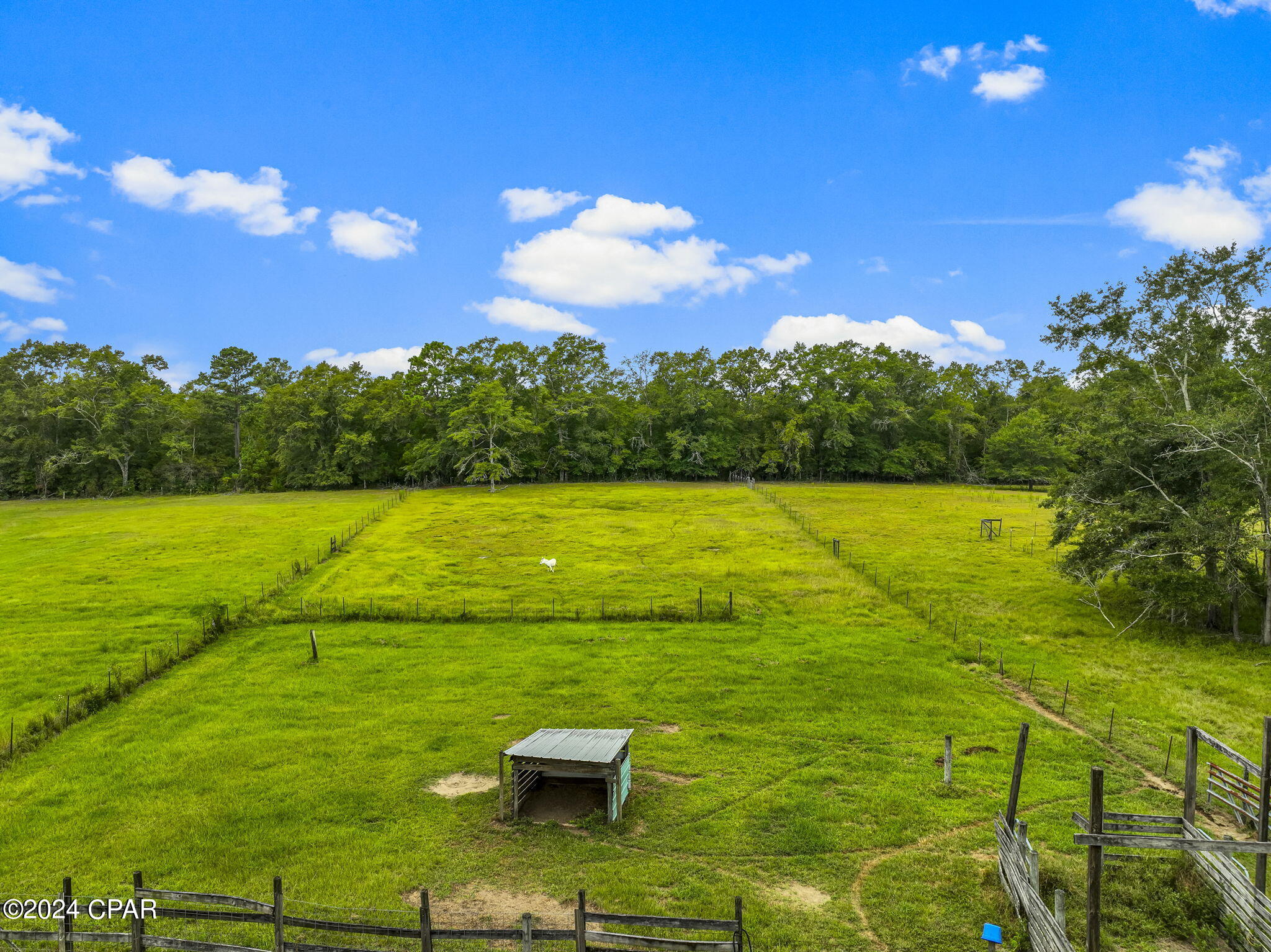 1432 Beaver Dam Road Bonifay, FL 32425 - Photo 91 of 104 Gallery Image 91