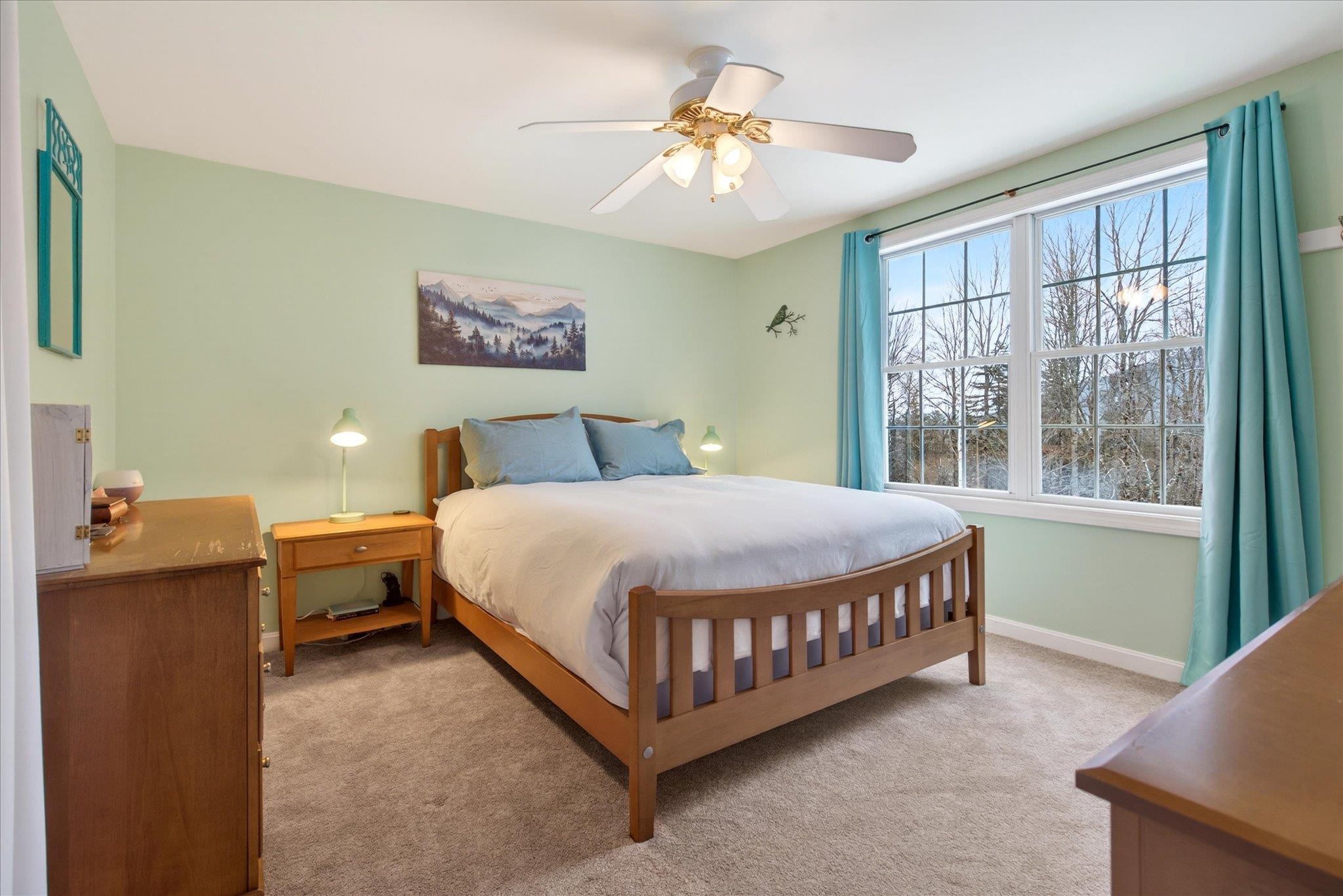 45 Okemo Way Mount Holly, VT 05758 - Photo 30 of 60