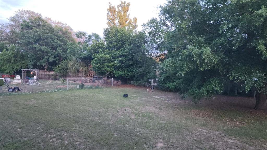 62 Silver Lane Ocala, FL 34472 - Photo 15 of 25 a view of a forest with trees in the background
