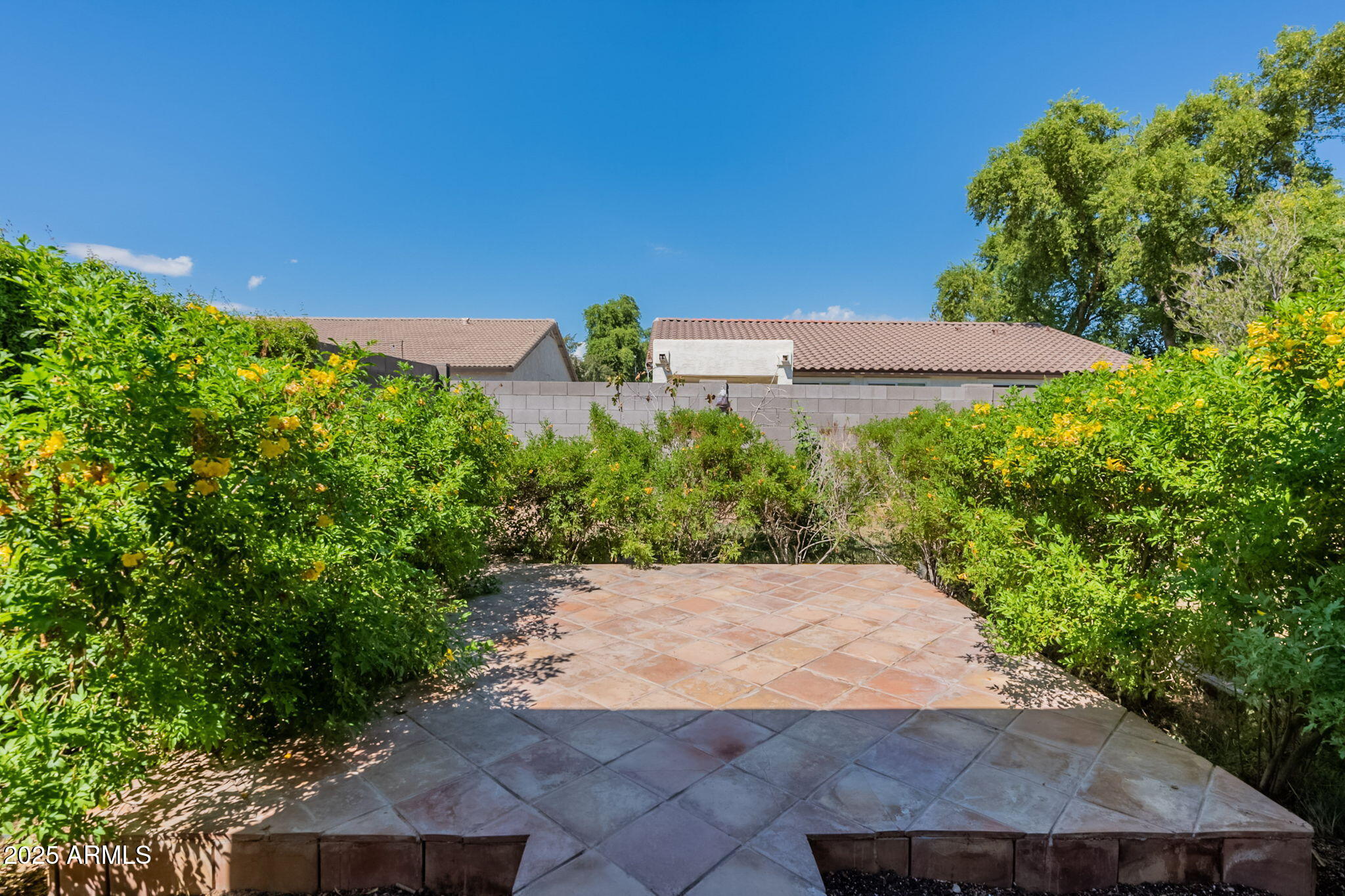 2024 West Carter Road Phoenix, AZ 85041 - Photo 50 of 55 50-web-or-mls-Carter-50