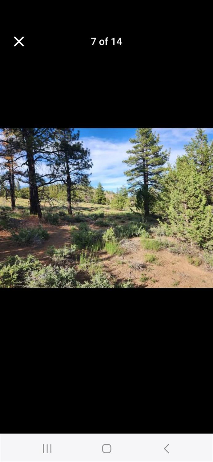0 Cheney Creek Road Susanville, CA 96130 - Photo 14 of 18 a view of an ocean