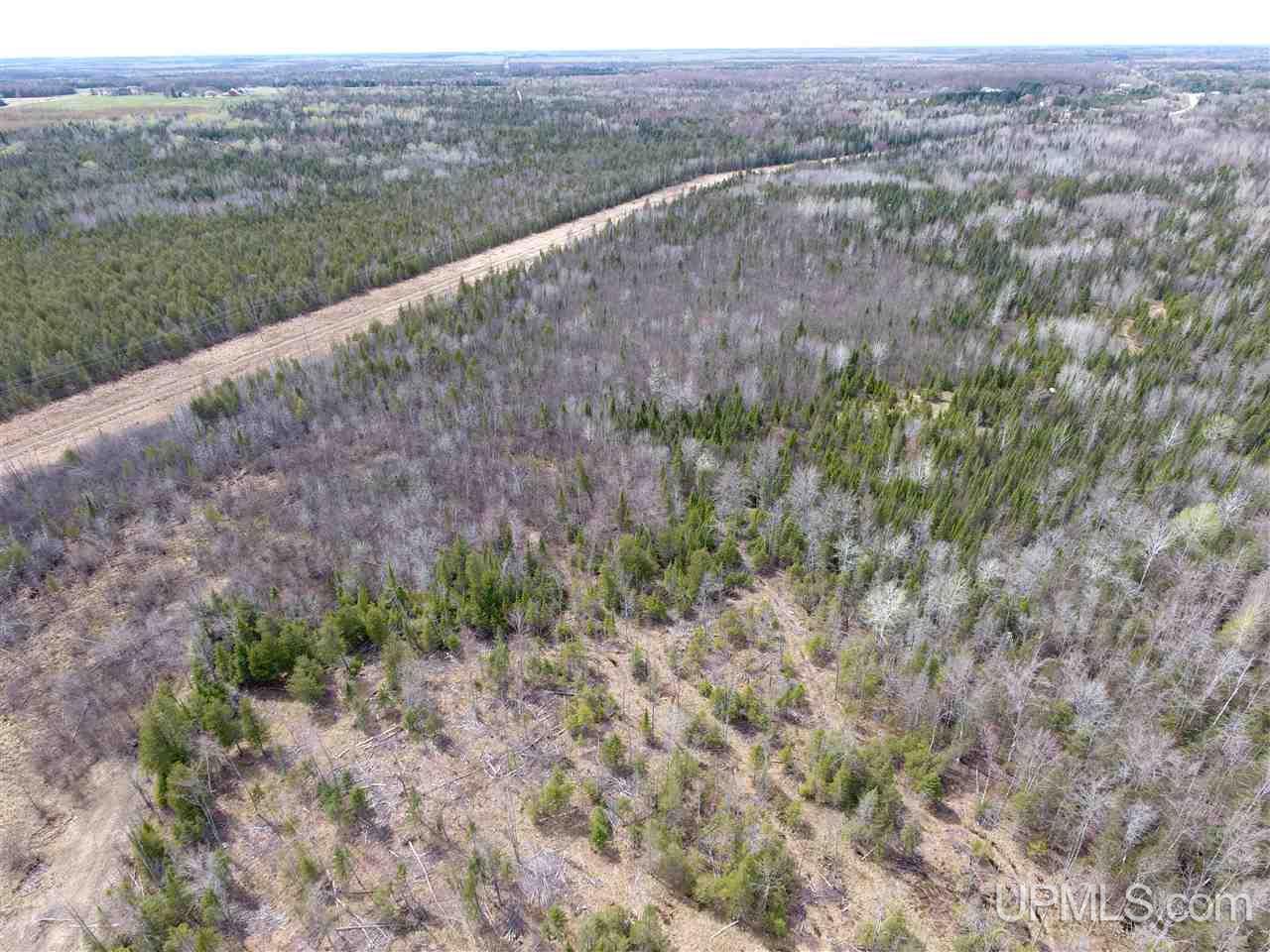3315 Co Road Cornell, MI 49818 - Photo 15 of 50