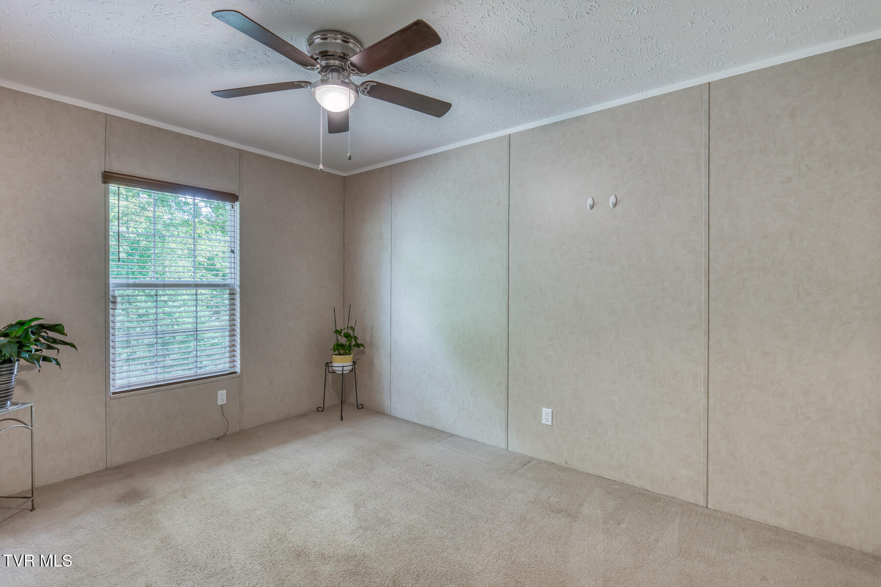 30 Ebenezer Loop Chuckey, TN 37641 - Photo 25 of 43 30 Ebenezer Loop-24