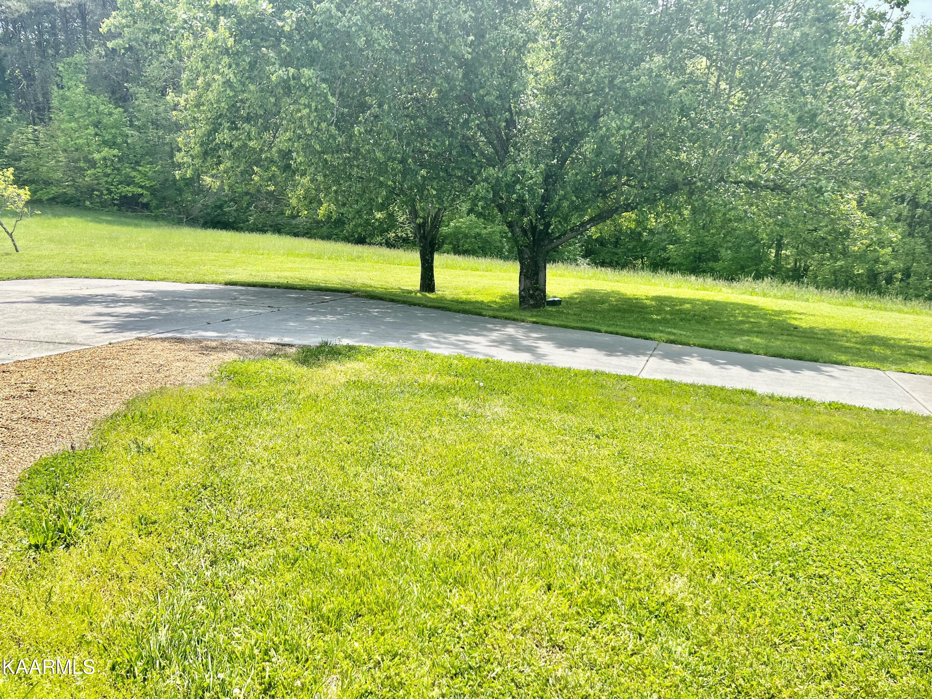 3579 Blue Springs Road Strawberry Plains, TN 37871 - Photo 8 of 45 74AC373B-5796-42EE-9D5A-BAFE641EB506_1_2