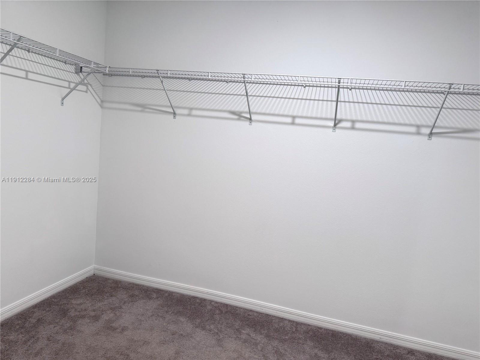 39889 Harmon Grove Court Zephyrhills, FL 33540 - Photo 44 of 55 a view of a room with racks on the wall