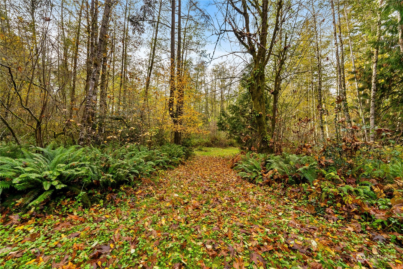 682 Southwest Birch Road Port Orchard, WA 98367 - Photo 31 of 40 Gallery Image 31