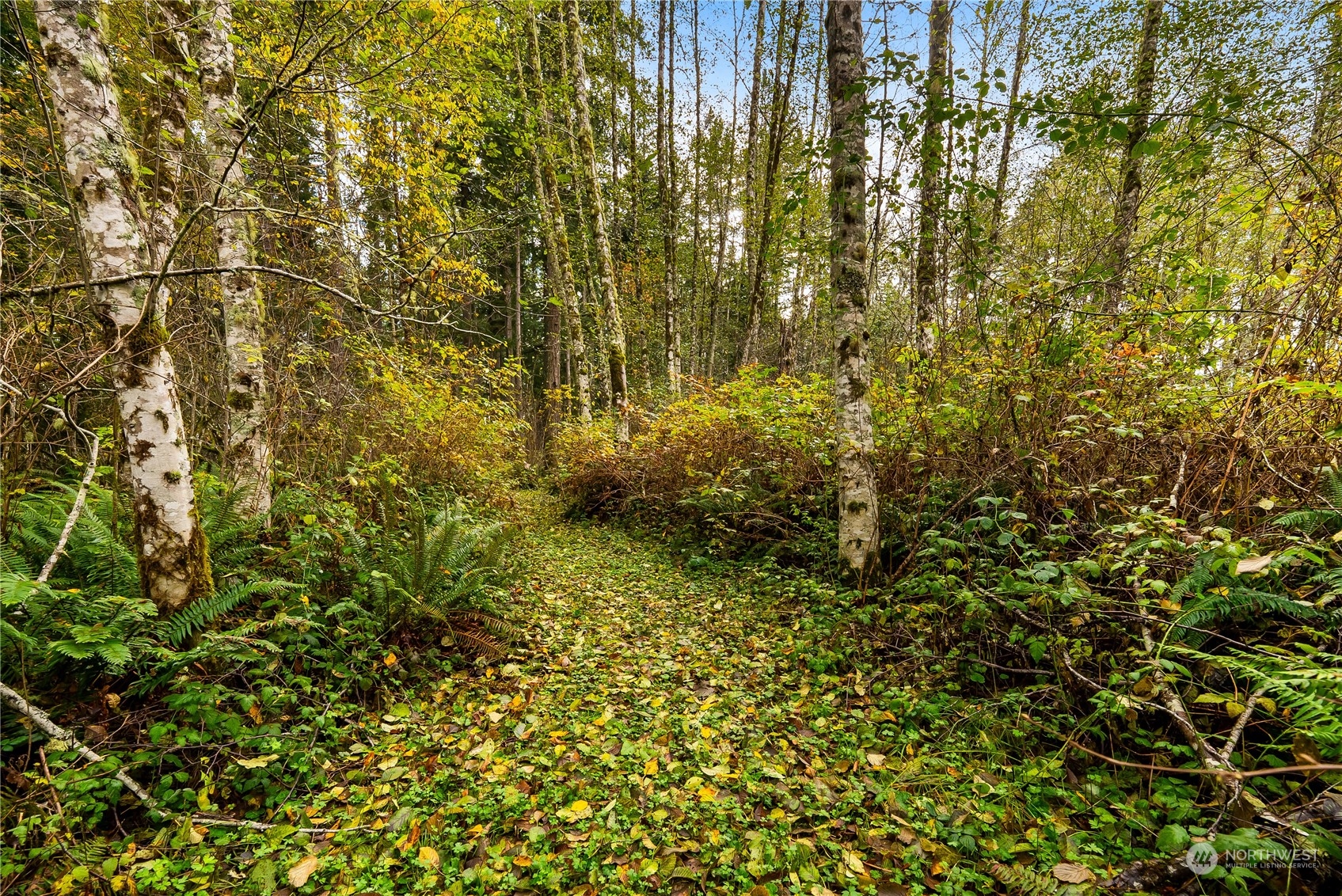 682 Southwest Birch Road Port Orchard, WA 98367 - Photo 32 of 40 Gallery Image 32