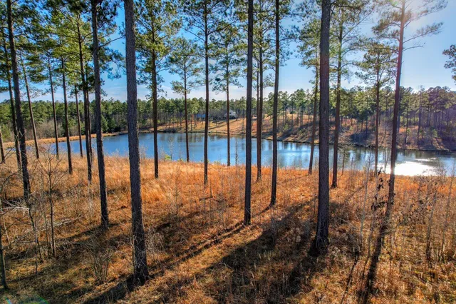 $2,699,900 | 2164 Lincolnton Highway, Elberton, GA 30635