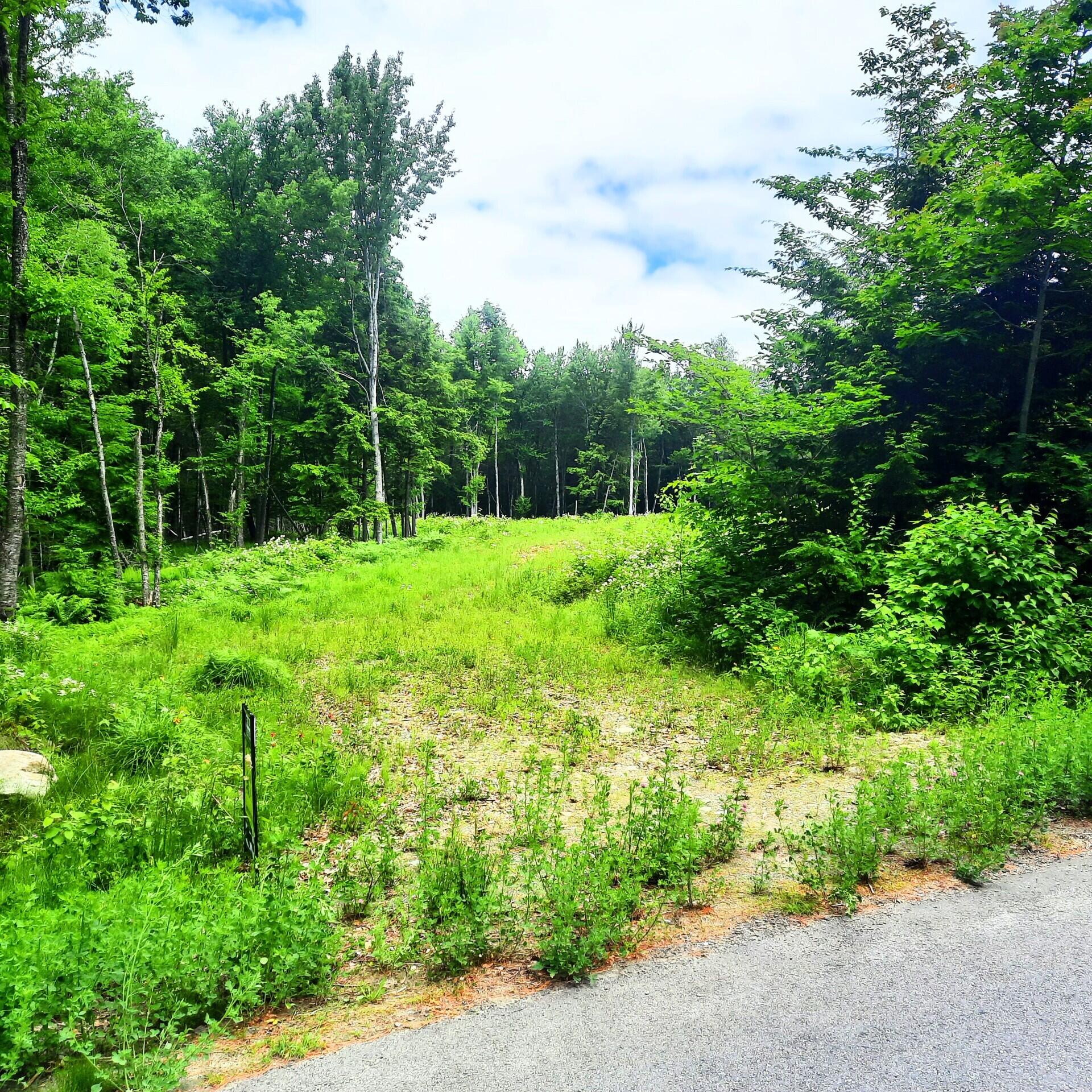 Lot 5 Dunn Road Belgrade, ME 04917 - Photo 1 of 2 dunn1
