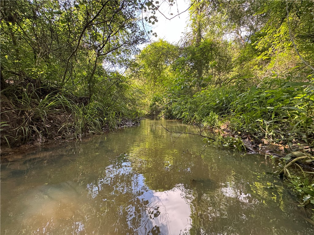 3816 Pin Oak Road Franklin, TX 77856 - Photo 2 of 15 Live Creek (Duck Pond Branch)