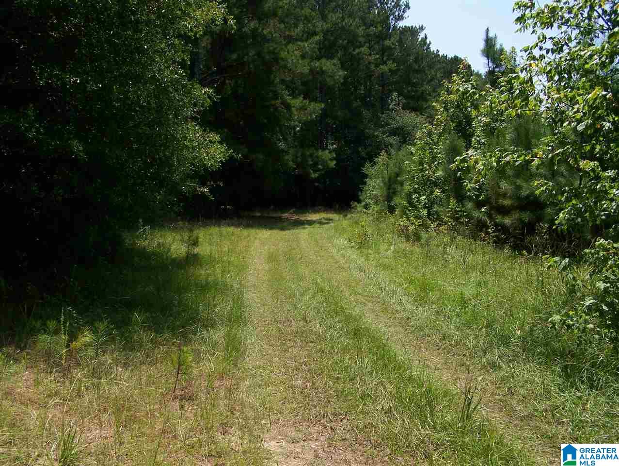 300 Pope Road Ohatchee, AL 36271 - Photo 42 of 45