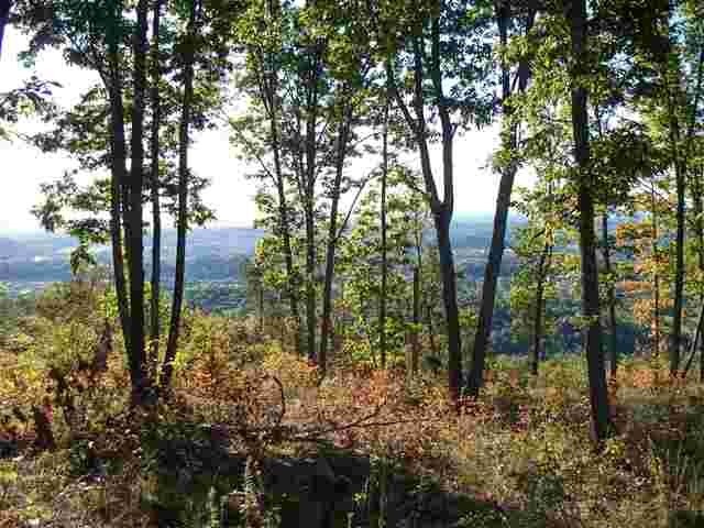 795 Highlander Road Grandview, TN 37337 - Photo 18 of 31 Gallery Image 18