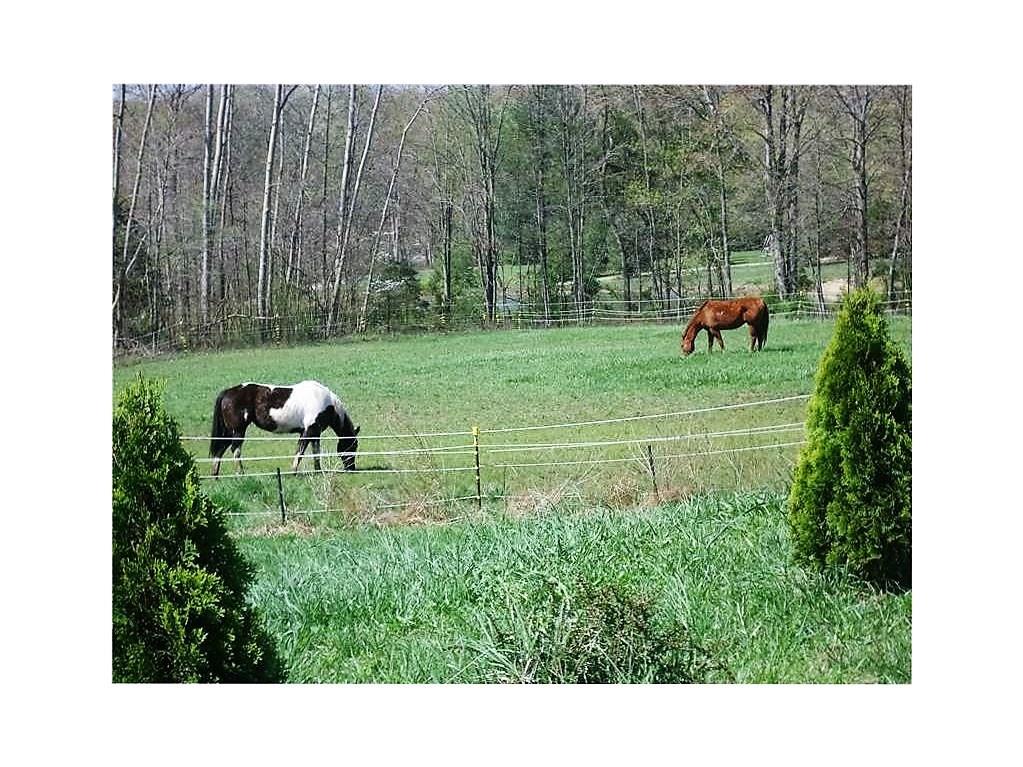 7440 Ogle Road Freetown, IN 47235 - Photo 3 of 21