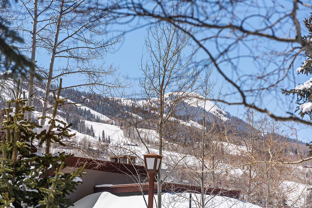 800 Ridge Road, Unit 13 Snowmass Village, CO 81615 - Photo 17 of 23 a backyard of a house with large trees