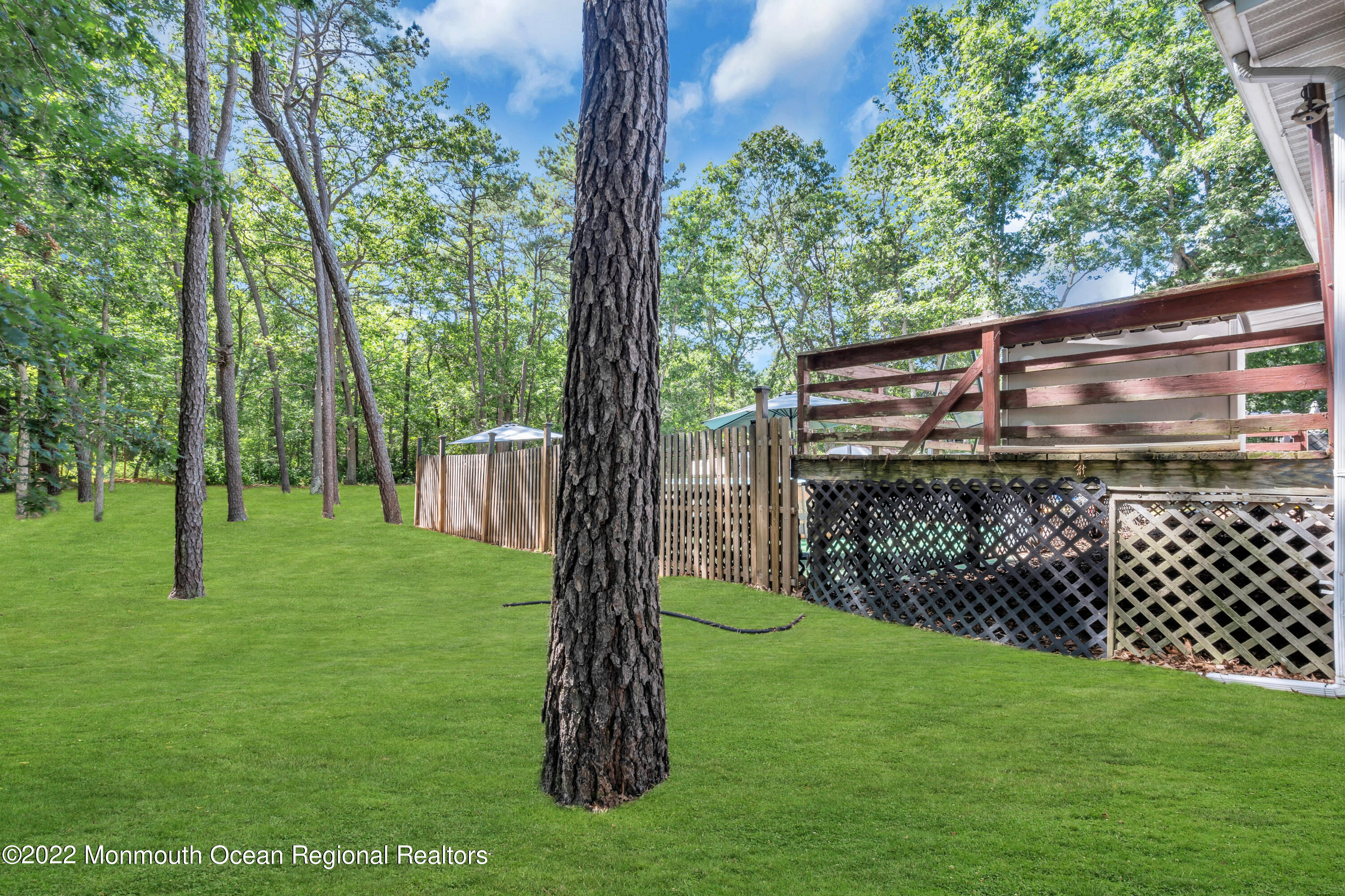 356 Cedar Swamp Road Jackson, NJ 08527 - Photo 53 of 56 a view of a yard with a tree in the grass