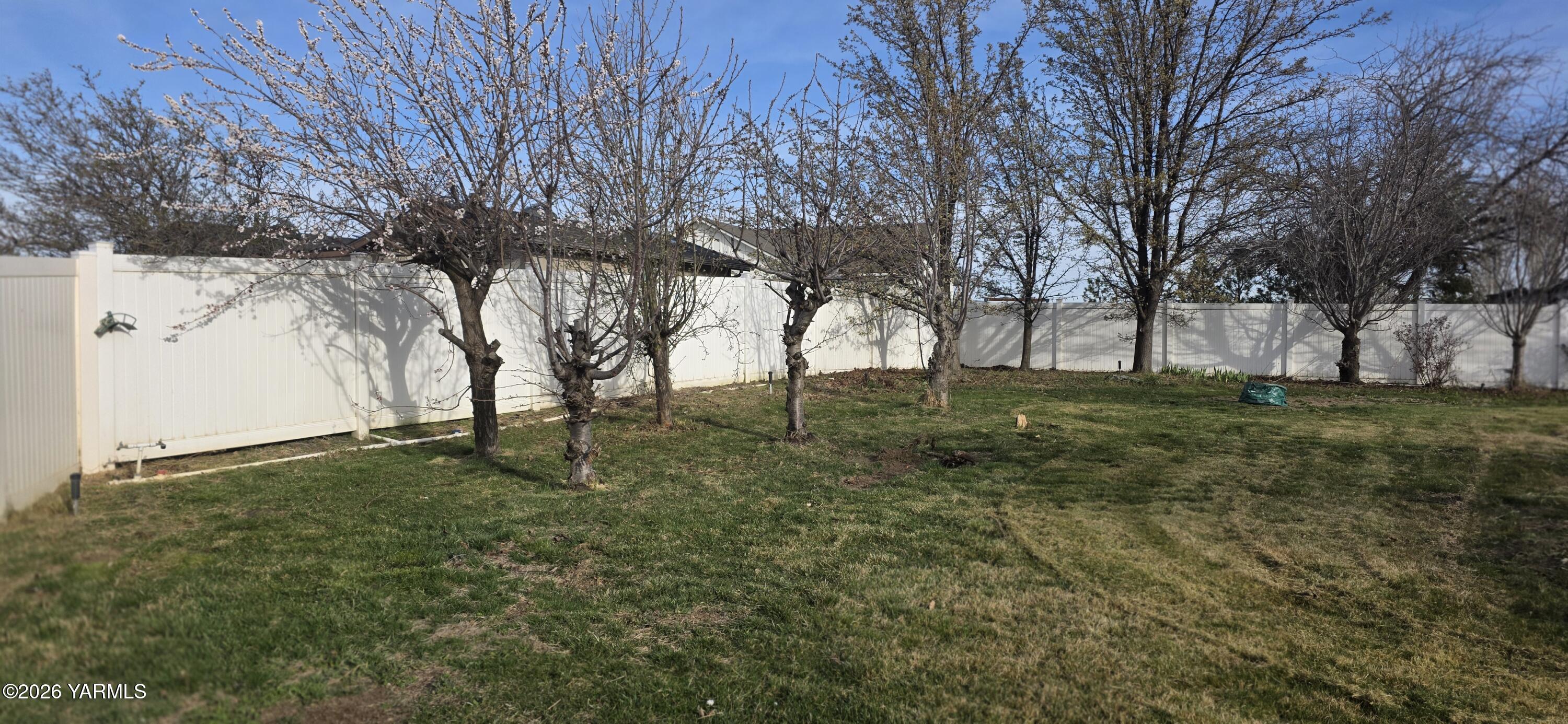 8601 Scenic Drive Yakima, WA 98908 - Photo 18 of 52 a view of yard with trees