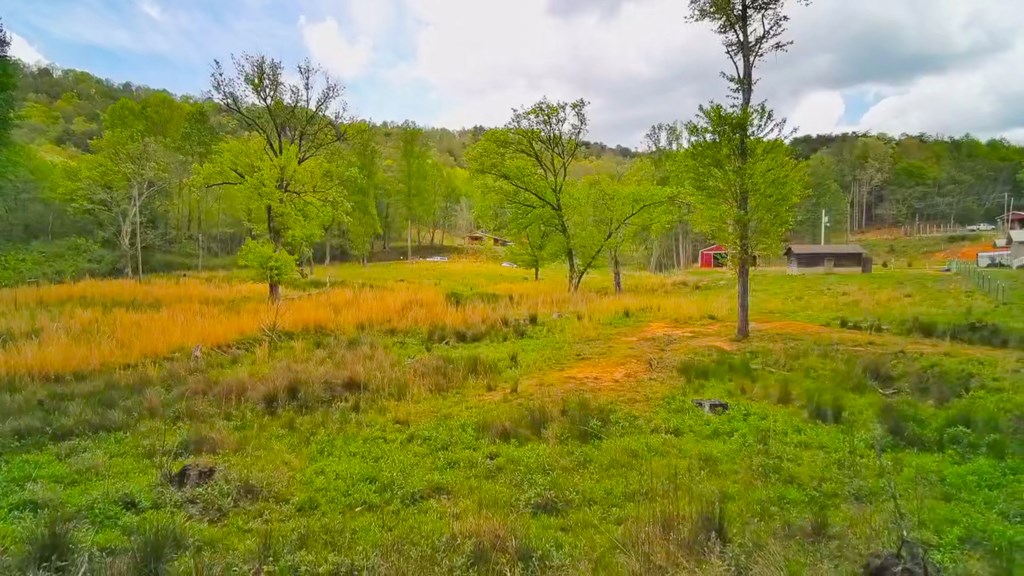3325 Pack Mountain Road Murphy, NC 28906 - Photo 55 of 69