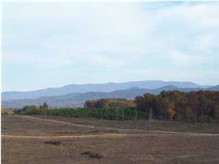 9 Spring Place Road Cleveland, TN 37323 - Photo 1 of 3 Primary Photo