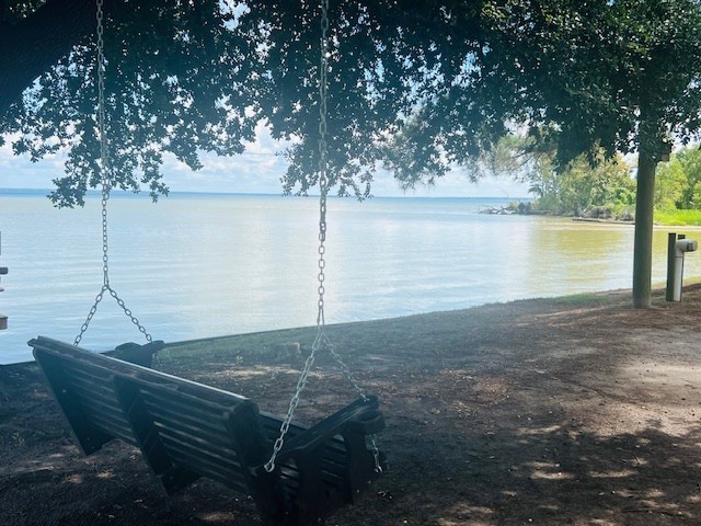 600 Sam Houston Loop Point Blank, TX 77364 - Photo 27 of 28 Common Area overlooking the water