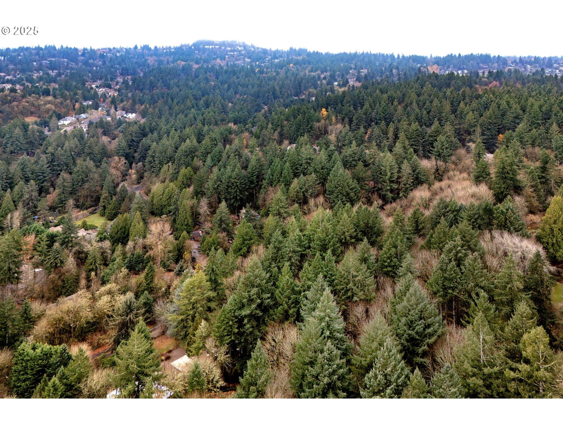 Southwest Lancaster Road Portland, OR 97219 - Photo 18 of 23