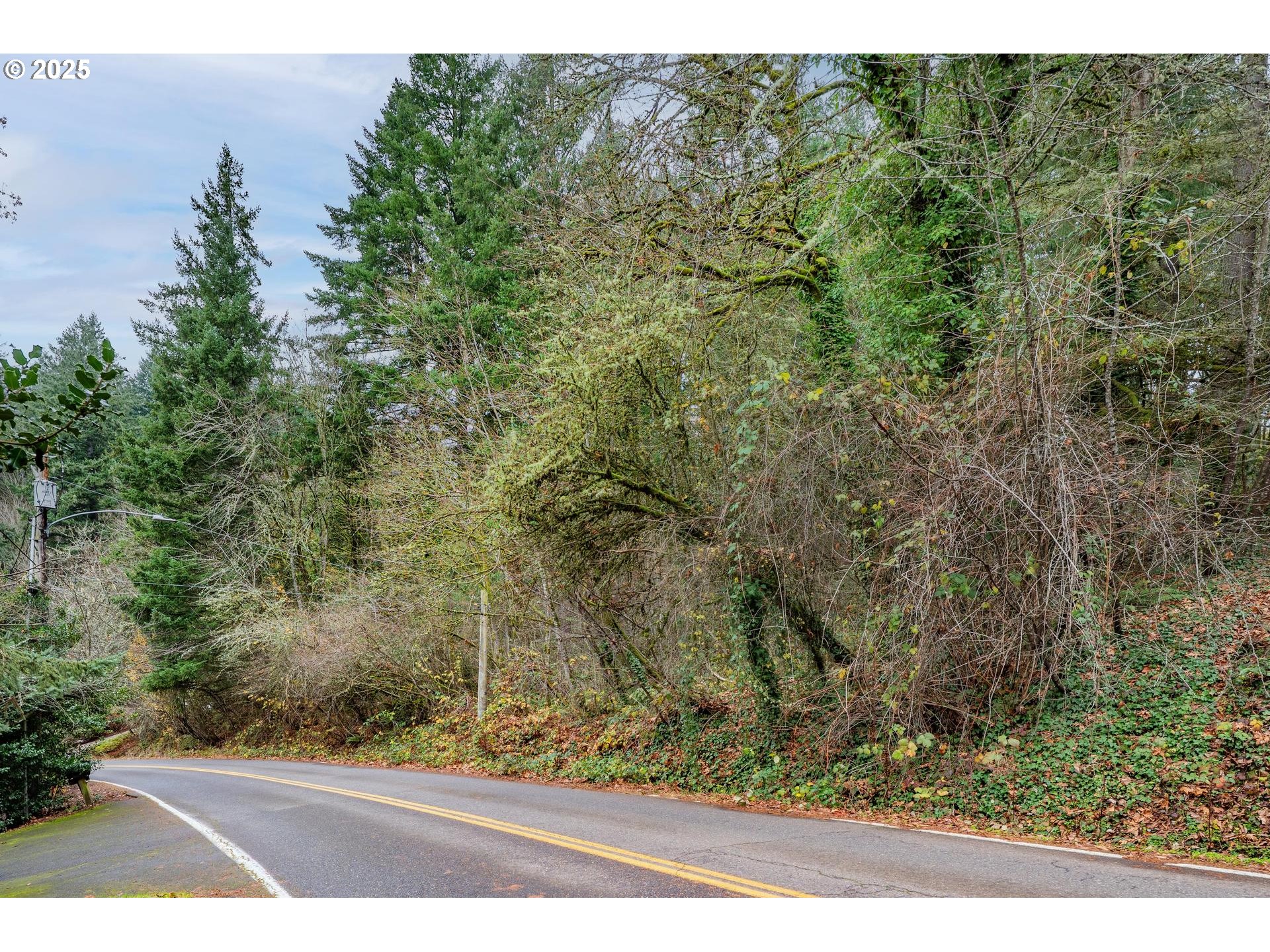 Southwest Lancaster Road Portland, OR 97219 - Photo 2 of 23